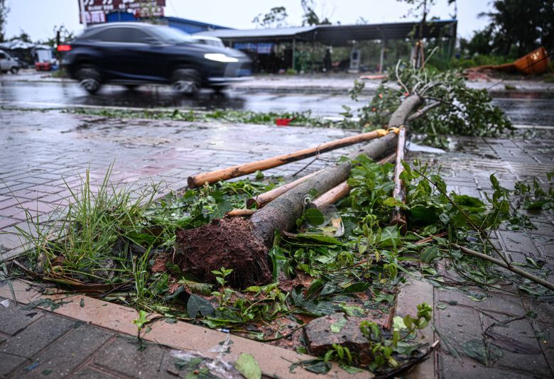 5일 중국 하이난성에 태풍 마트모가 들이닥쳐 나무가 송두리째 뽑혔다. /신화통신 연합뉴스