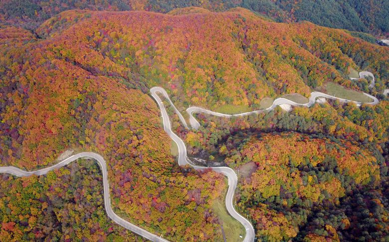 2017년 10월 13일 드론으로 촬영한 강원도 홍천 운두령 단풍./박상훈 기자