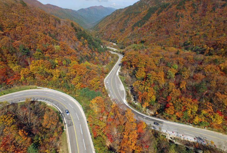 16일 강원도 오대산 진고개가 절정의 붉은 단풍을 보여주고 있다.