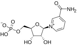니코틴아마이드 모노뉴클레오티드(nicotinamide mononucleotide, NMN)의 구조.