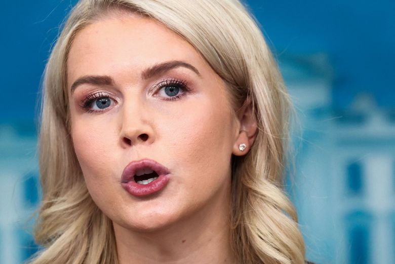 캐럴라인 레빗 백악관 대변인. /로이터 연합뉴스