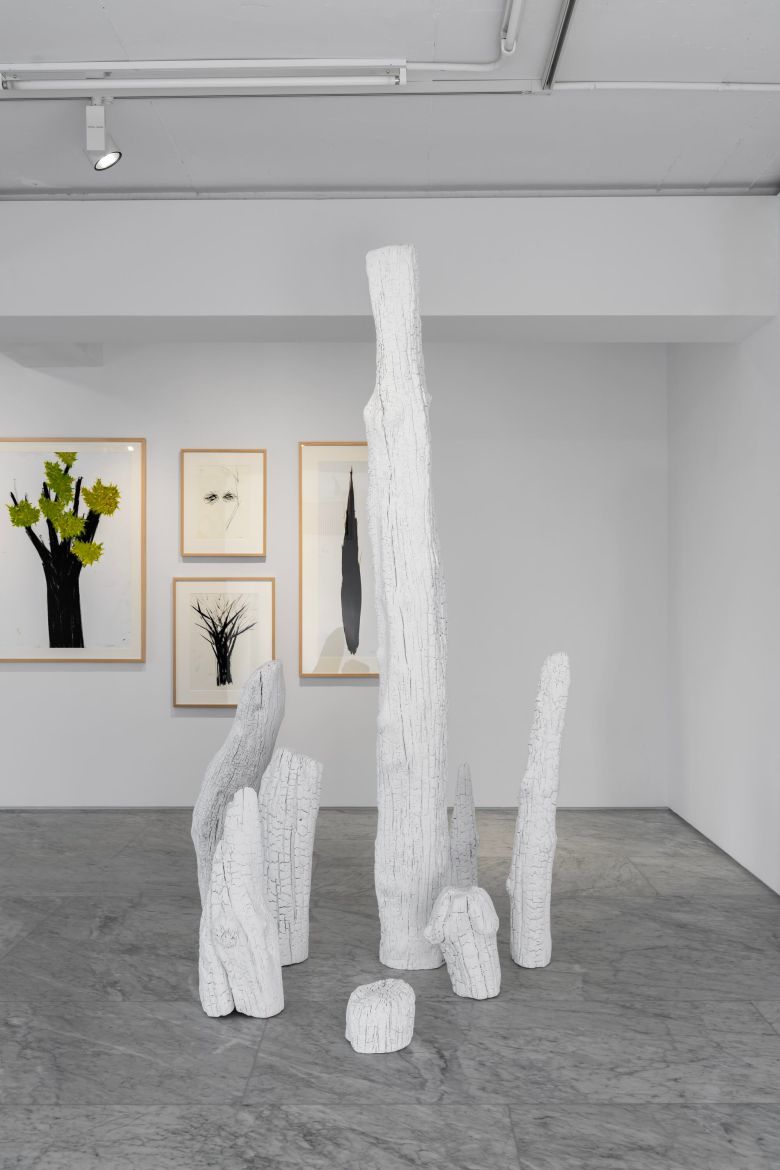 2019년 강원도 산불로 타버린 나무를 다시 태워 만든 신작 '무제'(2025). 고열에 태운 나무를 하얗게 분칠해 전시장에 내놨다. /PKM 갤러리