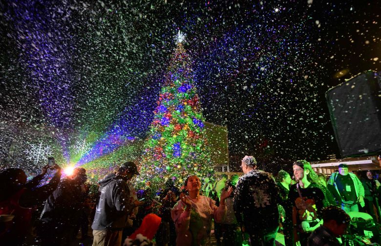 12월 1일 미국 로스앤젤레스 다운타운에서 열린 연례 LA 카운티 크리스마스 트리 점등식 모습./AFP 연합뉴스
