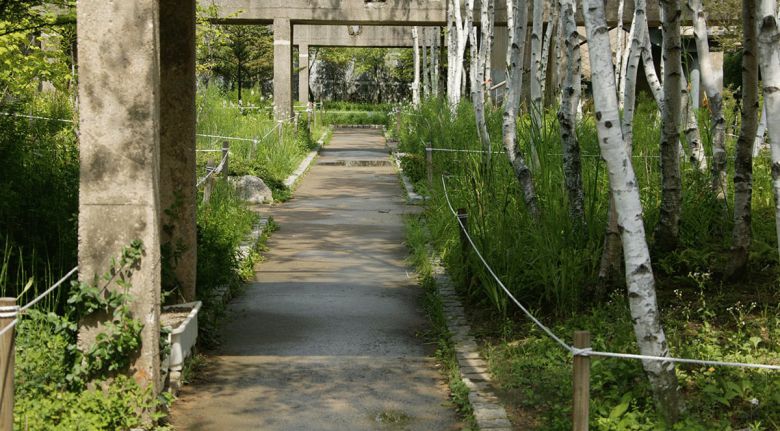 서울 영등포 선유도공원. 국내 최초의 재활용 생태공원으로 옛 정수장 시설을 활용했다. 폐허의 흔적 위에 녹색의 생명력이 더해졌다. /조경설계 서안