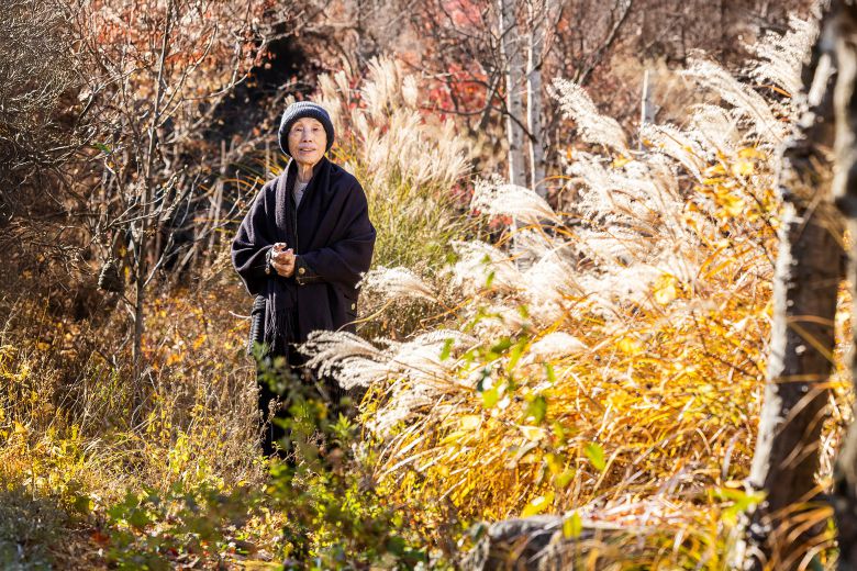 정영선 조경가의 자택은 경기도 양평에 있다. 다정한 산세 끝에 있어 산과 정원이 하나인듯 보인다. 그는 "이곳은 정원이라기보다는, 우리나라 전통 나무나 풀 같은 것들이 왔다갔다 하는 곳"이라고 했다. /양수열 영상미디어 기자