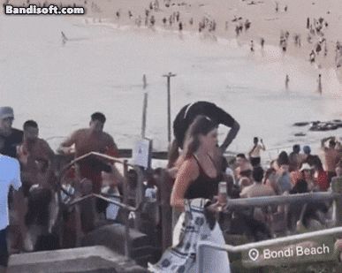 호주 시드니 본다이비치에서 총성이 울리자 대피하는 관광객들./ 인스타그램