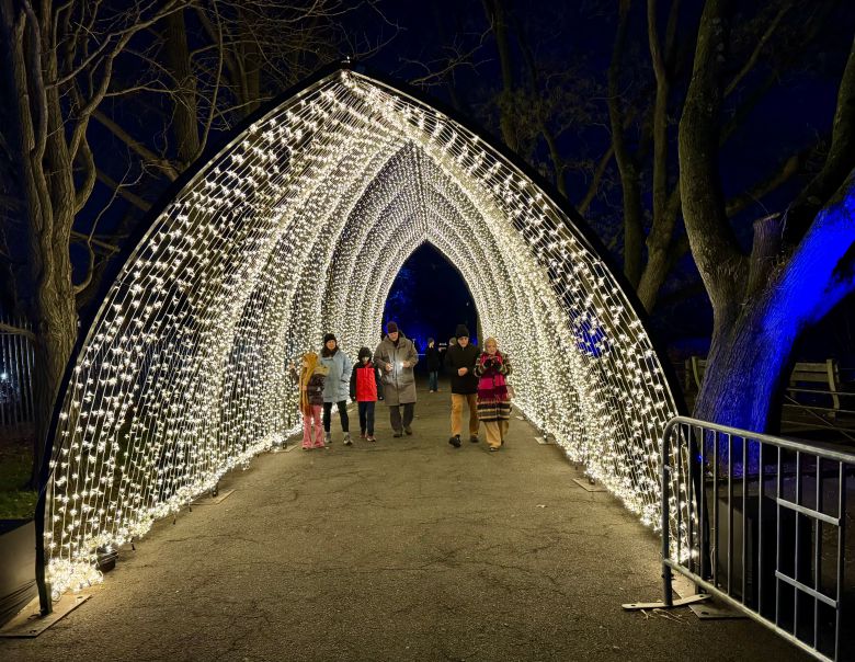 뉴욕 브루클린 식물원 ‘라이트스케이프(Lightscape)’의 조명 터널. 고딕 성당의 아치에서 영감을 받은 디자인이다.