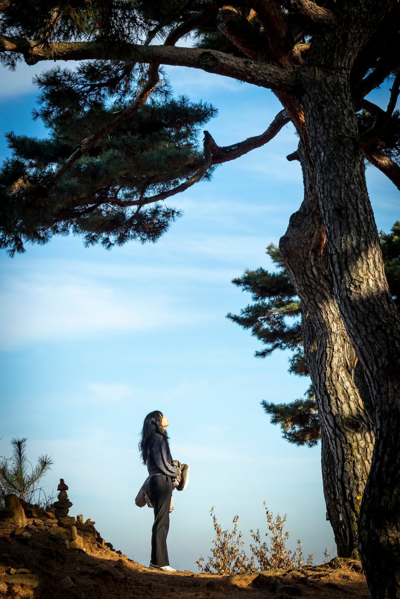 '강화 삼랑성' 성곽길 위에선 소나무 숲이 맞이한다. / 이신영 영상미디어 기자