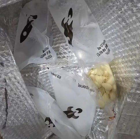 한 박스에 아이스 팩이 여러 개 들어있는 모습./스레드