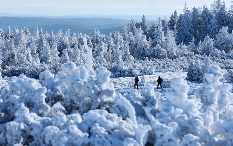 1월 5일 독일 사스바흐발덴 근처 블랙 포레스트 하이 로드를 따라 있는 호르니스그린데(Hornisgrinde) 산의 나무들이 눈과 얼음으로 뒤덮여 있다./EPA 연합뉴스