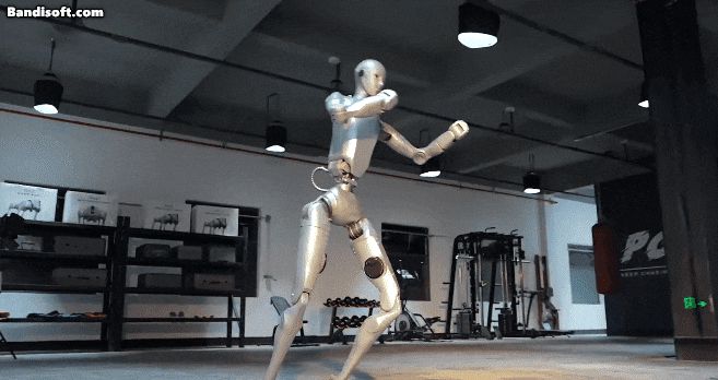 중국 로봇 기업 유니트리의 휴머노이드 로봇 'H2