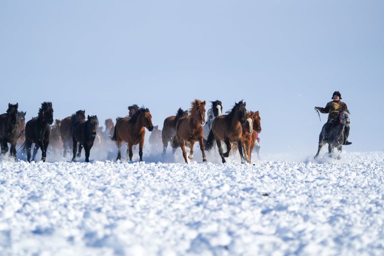 1월 3일 중국 서북부 신장 위구르 자치구 일리 카자흐 자치주 자오수 현의 한 습지 공원에서 말들이 눈 밭위를 질주하고 있다./신화 연합뉴스