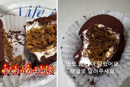 소셜미디어에 올라온 두쫀쿠 '사기' 사례들. /인스타그램