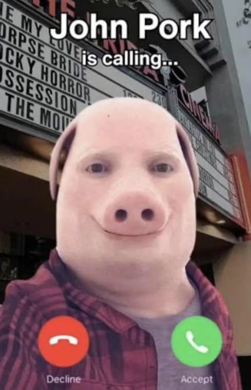 틱톡 등 소셜미디어에서 확산한 돼지 얼굴 밈./인스타그램