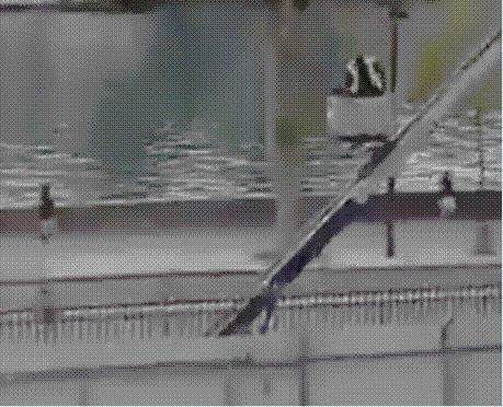 범행을 마친 루브르 박물관 도둑들이 사다리차를 타고 내려오고 있다. /X