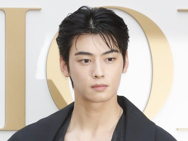 가수 겸 배우 차은우./ 뉴스1