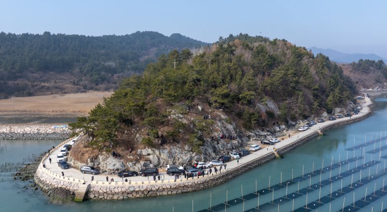 17일 오후 전남 장흥군 대덕읍 앞바다. 한 겨울 썰물때 매생이밭의 독특한 풍경이 펼쳐지면서 이곳을 촬영하기 위해 전국 사진동호회원들이 모여들었다./김영근 기자