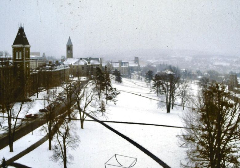 코넬대학교 캠퍼스의 ‘리베 슬로프(Libe Slope)’. 조경디자이너 프레더릭 옴스테드는 인위적으로 사각형의 중정 주변에 건물을 배치하는 대신, 언덕이 많은 지형을 살려 자연미를 극대화했다. 눈이 오는 날, 최단거리를 찾아 사람들이 건물을 이동하며 남긴 발자국을 따라 길을 만들었다.