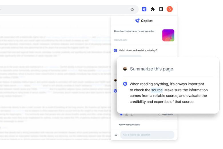 장문의 글을 요약해 제시하는 라이너 AI 코파일럿 / 출처=라이너