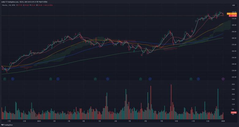 비자(종목 코드 : V)의 주가 흐름을 보여주는 일봉 차트 / 출처=트레이딩뷰