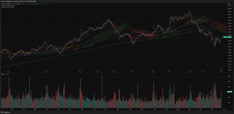 구글 (종목 코드 : GOOG)의 주가 흐름을 보여주는 일봉 차트 / 출처=트레이딩뷰