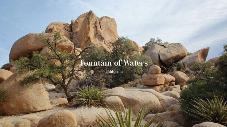 파운틴오브워터스는 캘리포니아 대자연의 이미지가 떠오르도록 세계관을 구축했다 / 출처=블레스드프로젝트