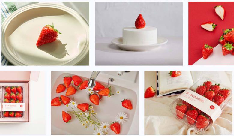 미국 시장에 수출하고 있는 신품종 딸기 / 출처=파미레세