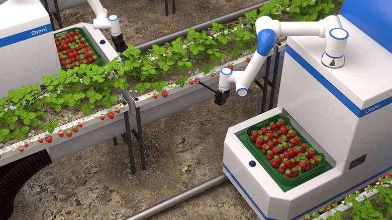 메타파머스의 옴니파머 / 출처=퓨처플레이