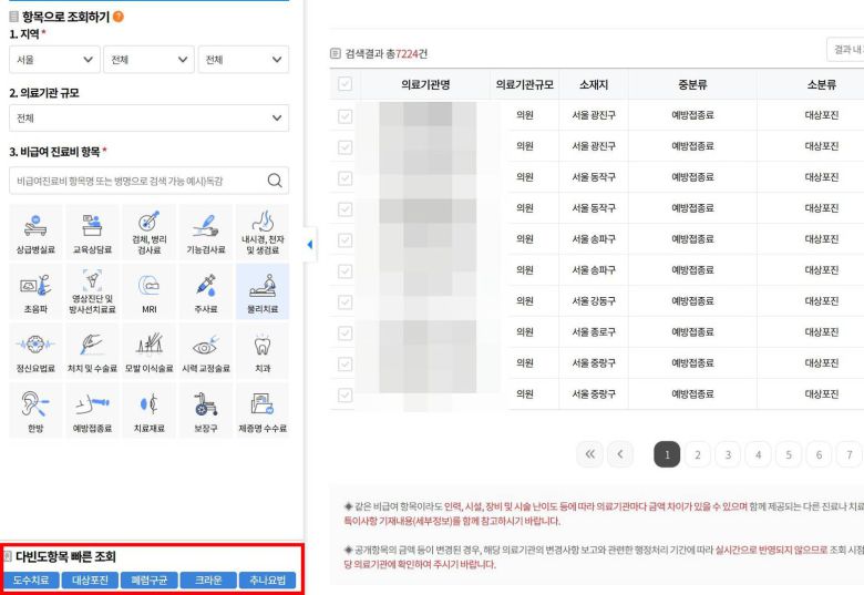 가장 자주 찾는 항목을 빠르게 조회해볼 수 있는 기능이 신설됐다 / 출처=건강보험심사평가원