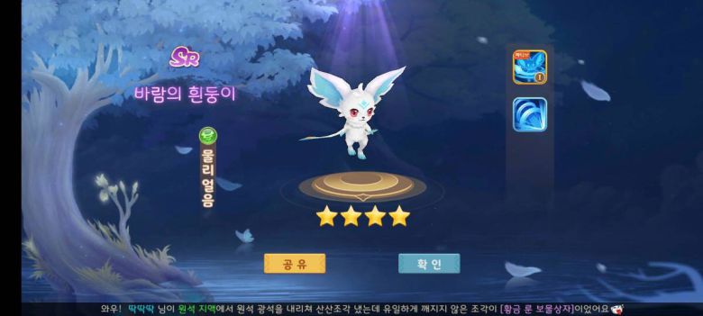 이름만으로 웃음벨인 바람의 흰둥이