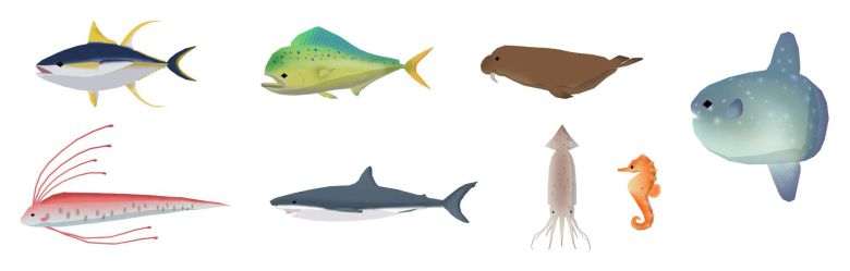 다양한 동물들이 등장한다