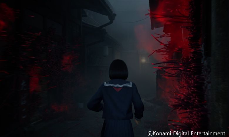 극명한 색의 대비를 보여준다