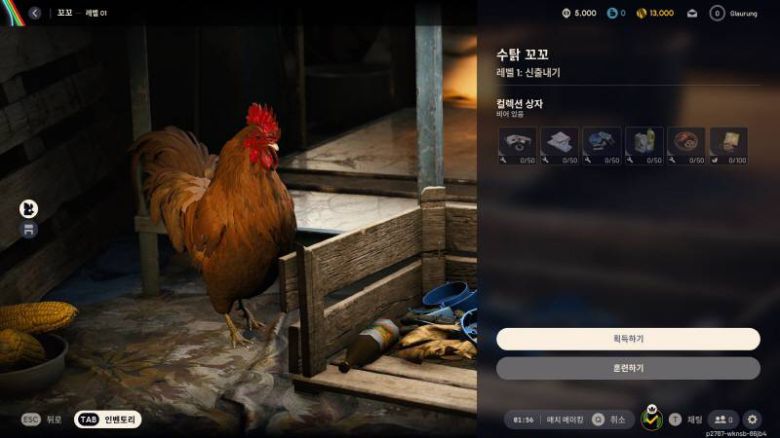 재료를 물어와주는 효자 꼬꼬