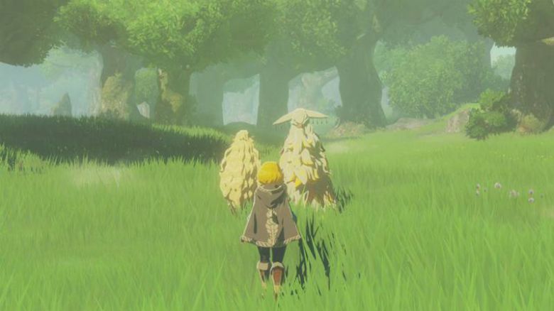 소니아와 라울을 따라가는 젤다