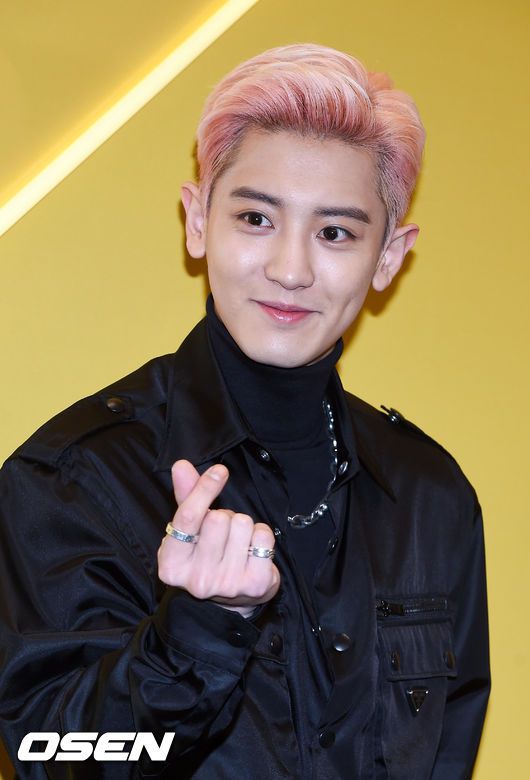 [OSEN=박준형 기자]엑소 찬열이 포즈를 취하고 있다. /  soul1014@osen.co.kr