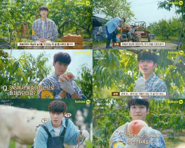 '어쩌다 전원일기' 영상