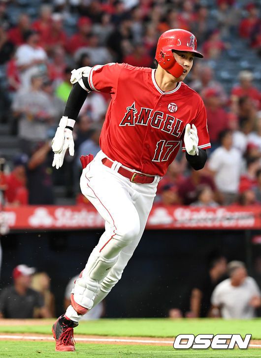 오타니 쇼헤이 / OSEN DB