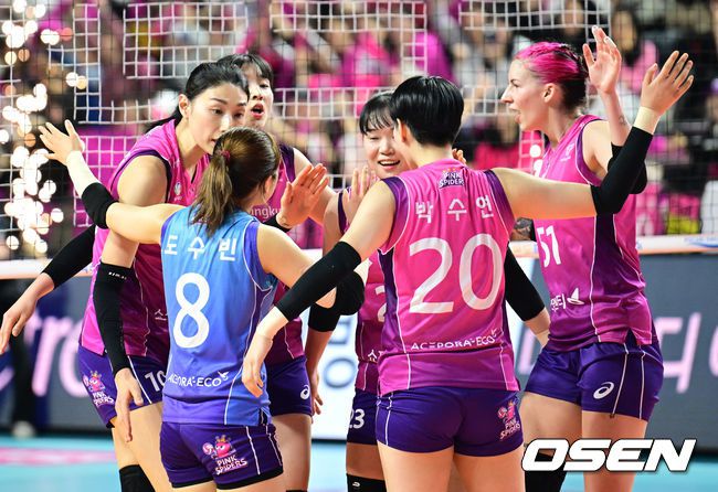 [OSEN=인천, 김성락 기자] 26일 오후 인천 부평구 인천삼산월드체육관에서 ‘도드람 2023~2024 V-리그’ 플레이오프 3차전 흥국생명과 정관장의 경기가 열렸다.2세트 흥국생명 선수들이 득점에 기뻐하고 있다. 2024.03.26 / ksl0919@osen.co.kr