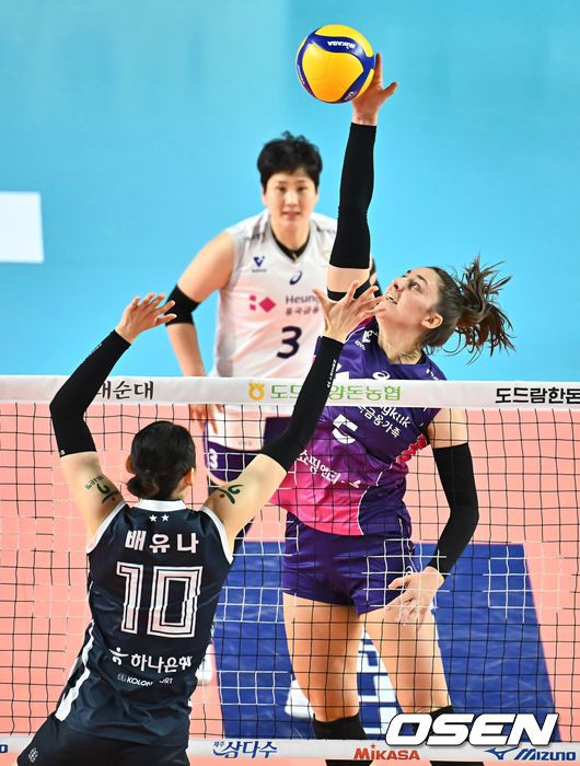 흥국생명 핑크스파이더스 아닐리스 피치. /OSEN DB