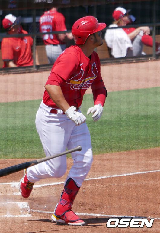 [OSEN=주피터(미 플로리다주), 이사부 통신원]24일(한국시간) 세인트루이스 카디널스와 워싱턴 내셔널즈의 시범경기가 미국 플로리다주 주피터의 세인트루이스 스프링 캠프인 로저 딘 스타디움에서 열렸다.김광현은 이날 출전선수 명단에 없었지만 팀의 기둥이나 다름없는 애덤 웨인라이트가 선발 등판하는 날이어서 훈련을 마친 뒤 경기를 지켜봤다. 김광현뿐 아니라 캠프에 있는 거의 모든 선수가 모두 스타디움으로 나와 웨인라이트가 마운드에서 내려온 6회까지 자리를 지켰다.이 날 경기에서 세인트루이스는 워싱턴과 5-5로 비겼다. 세인트루이스는 2-5로 뒤져 패색이 짙던 9회 말 오스틴 딘의 투런 홈런과 호세 론든의 적시타로 패배에서 벗어났다.세인트루이스 홈 개막전 선발로 확정된 애덤 웨인라이트는 이날 6이닝 동인 2피안타(1피홈런) 1실점 7탈삼진 1볼넷을 기록했다. 시범경기 평균자책점도 1.83으로 끌어내렸다.세인트루이스 아레나도가 타구를 바라보고 있다./lsboo@osen.co.kr