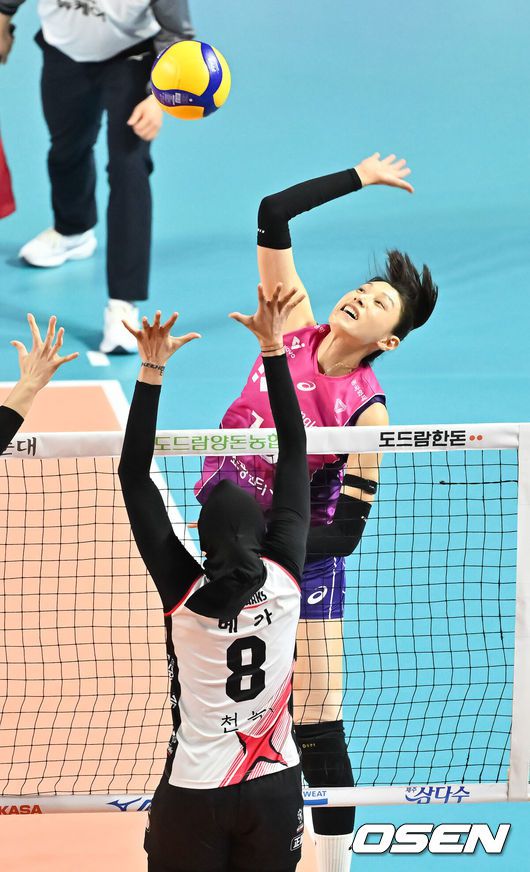 OSEN