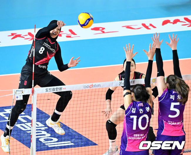 [OSEN=대전, 민경훈 기자] 4일 대전 충무체육관에서 프로배구 도드람 2024-2025 V리그 여자부 챔피언결정 3차전 정관장과 흥국생명 경기가 진행됐다.정규리그 1위를 차지한 흥국생명이 챔피언결정전 1-2차전에서 승리하며 통합우승까지 단 1승만 남은 상태다. 1세트 정관장 메가가 강타를 때리고 있다. 2025.04.04 / rumi@osen.co.kr