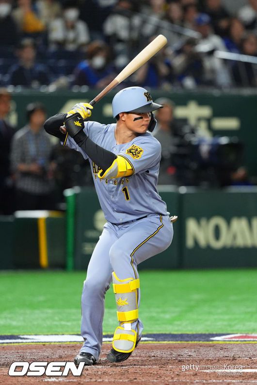 [사진] 한신 타이거즈 모리시타 쇼타. ⓒGettyimages(무단전재 및 재배포 금지)