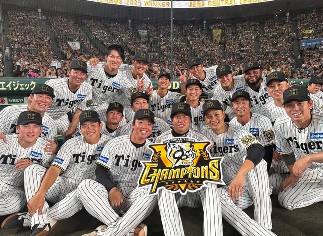 한신 타이거즈 인스타그램 캡쳐
