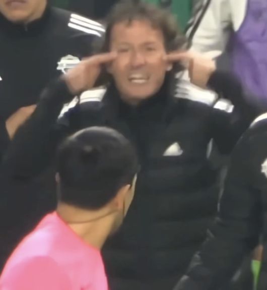 [사진] 타노스 코치, 논란이 되고 있는 장면 / 한국프로축구심판협의회 영상 캡처