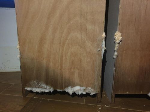 전기와 수도가 끊겨 침수 피해를 제대로 복구하지 못해 쓴 곰팡이[독자 제공. 재판매 및 DB 금지]