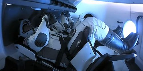 크루 드래건에 탑승한 우주비행사 더그 헐리와 봅 벤켄[NASA 유튜브 캡처·재판매 및 DB 금지]