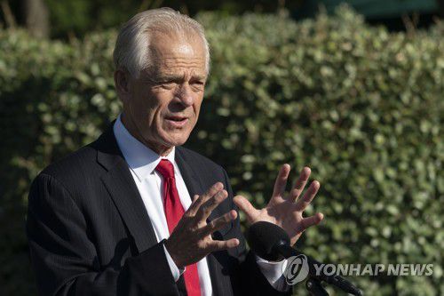 피터 나바로 백악관 무역·제조업 정책국장[EPA=연합뉴스]