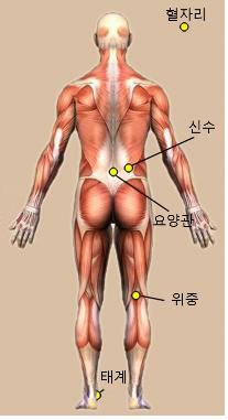 진짜 침 치료 시 시술한 혈자리[한국한의학연구원 제공. 재판매 및 DB 금지]