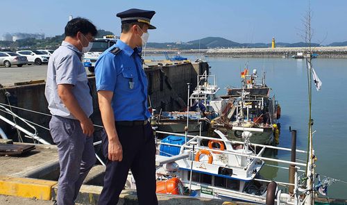 '지금은 잠잠하지만'…태풍 앞두고 항구 살피는 보령해경서장(오른쪽)[보령해경 제공. 재판매 및 DB 금지]